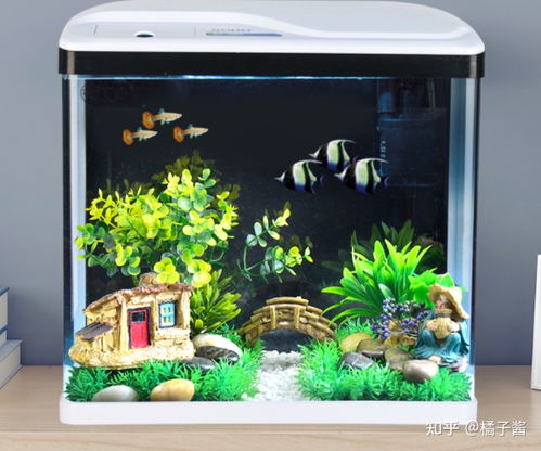 300元預(yù)算的魚(yú)缸選購(gòu)指南 新手輕松入坑的高性價(jià)比方案